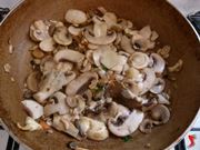 funghi champignon