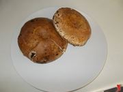 funghi