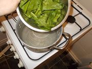 spinaci