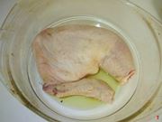 pollo