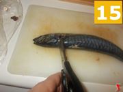 Terminate il pesce