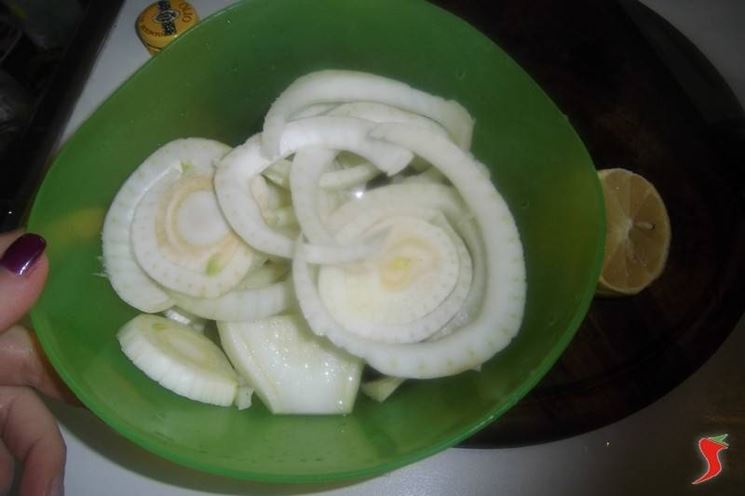 finocchi in insalata