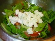 insalata