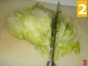 Le foglie d'insalata
