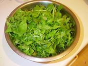 rucola