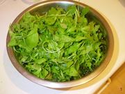 rucola